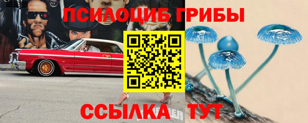 Псилоцибиновые грибы ЛСД  Псилоцибиновые грибы мухоморы  Ростов Великий  Вход с VPN 